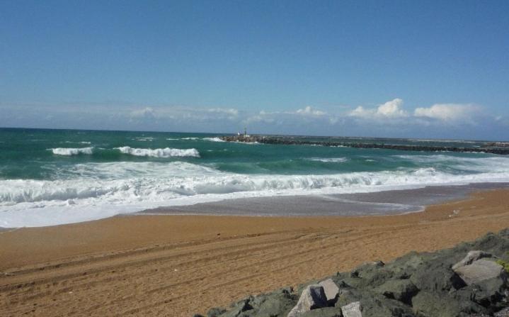 Le Cocon D'Aguilera A 200M Du Stade Et 2Km De La Plage Anglet Ngoại thất bức ảnh